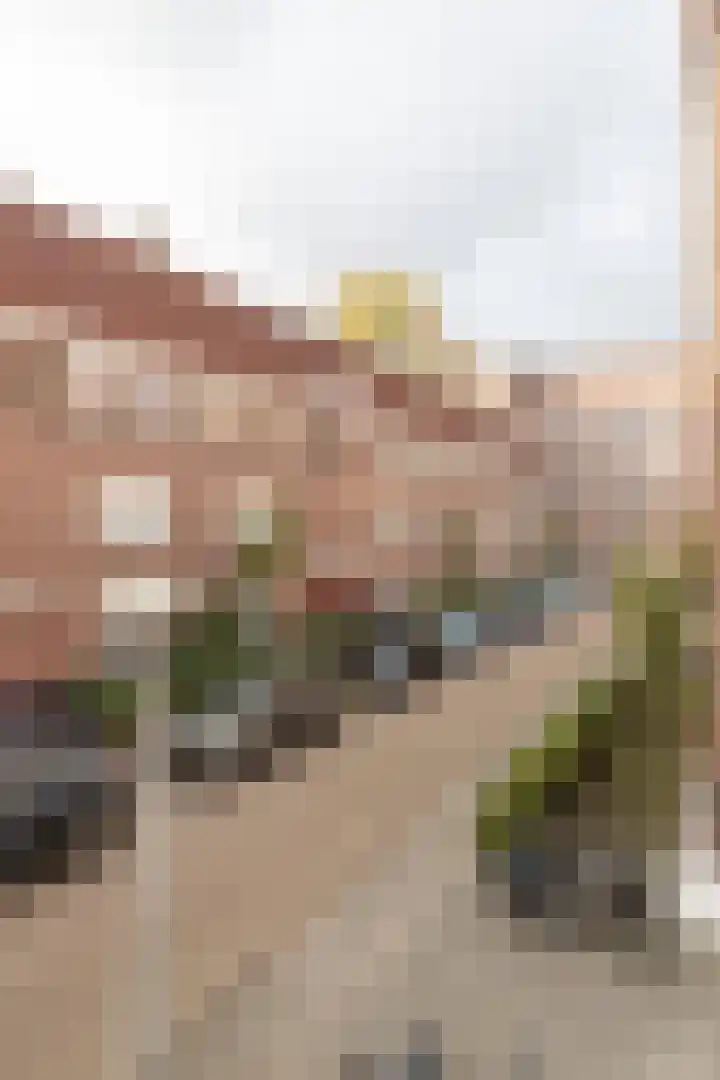 Theseusstraat 13 1 Amsterdam thumbnail 20