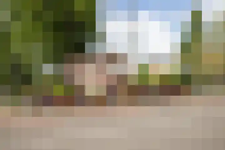 Theseusstraat 13 1 Amsterdam thumbnail 36