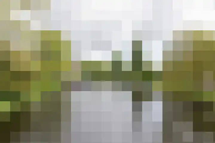 Theseusstraat 13 1 Amsterdam thumbnail 37