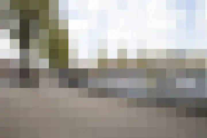Theseusstraat 13 1 Amsterdam thumbnail 38