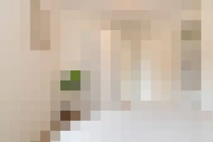 Theseusstraat 13 1 Amsterdam thumbnail 6