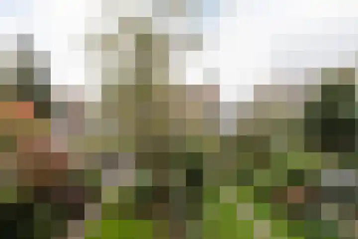 Theseusstraat 13 1 Amsterdam thumbnail 9