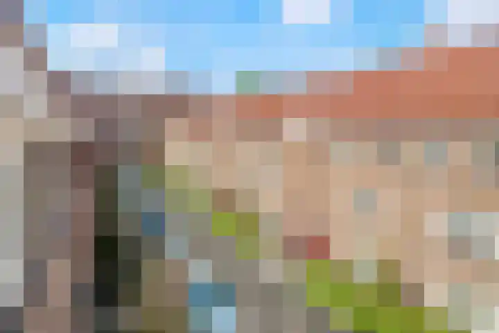 Theseusstraat 16 2 Amsterdam thumbnail 33