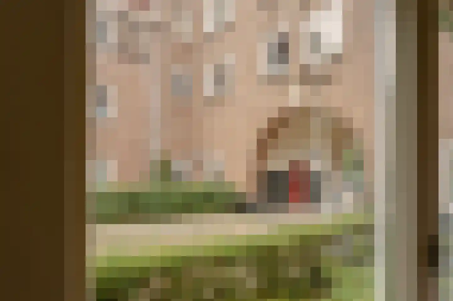 Theseusstraat 3 H Amsterdam thumbnail 14