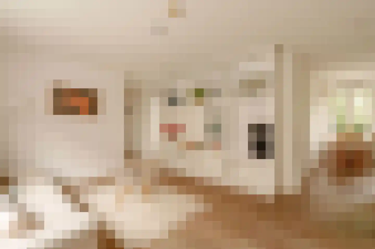 Theseusstraat 3 H Amsterdam thumbnail 5