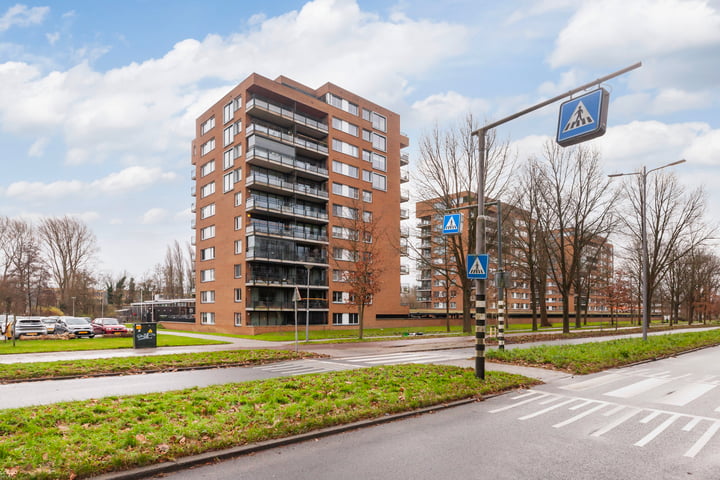 Theseusstraat 73 in Rotterdam foto