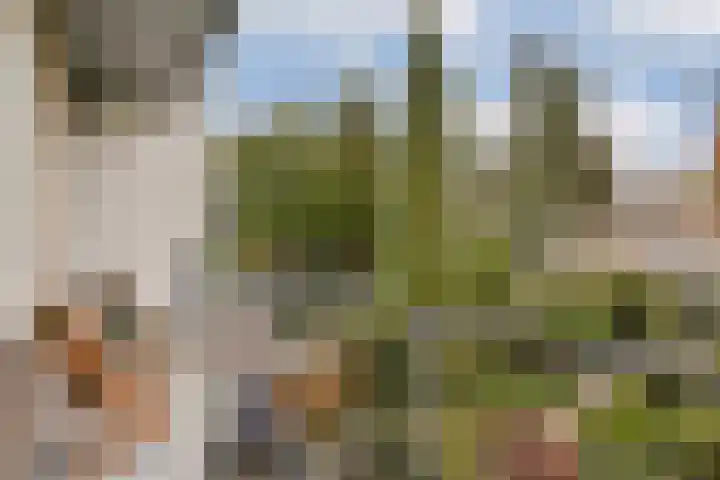 Theseusstraat 9 H Amsterdam thumbnail 13