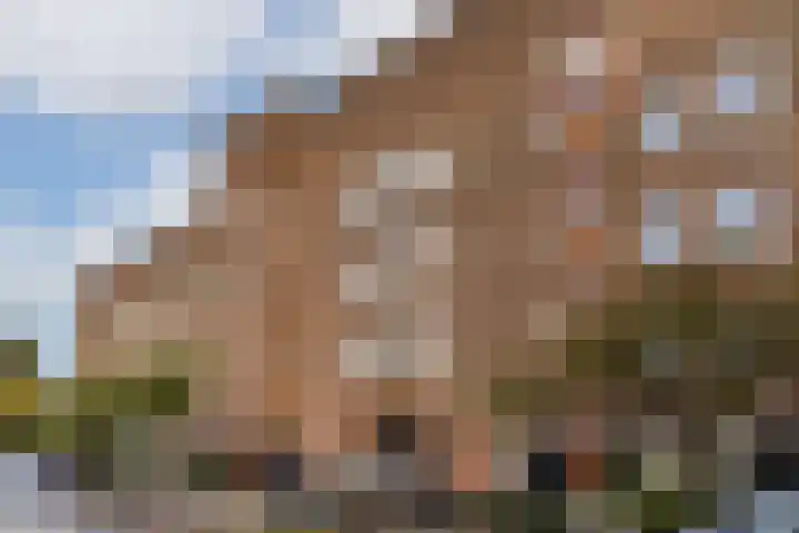 Theseusstraat 9 H Amsterdam thumbnail 18