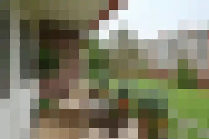 Theseusstraat 9 H Amsterdam thumbnail 8