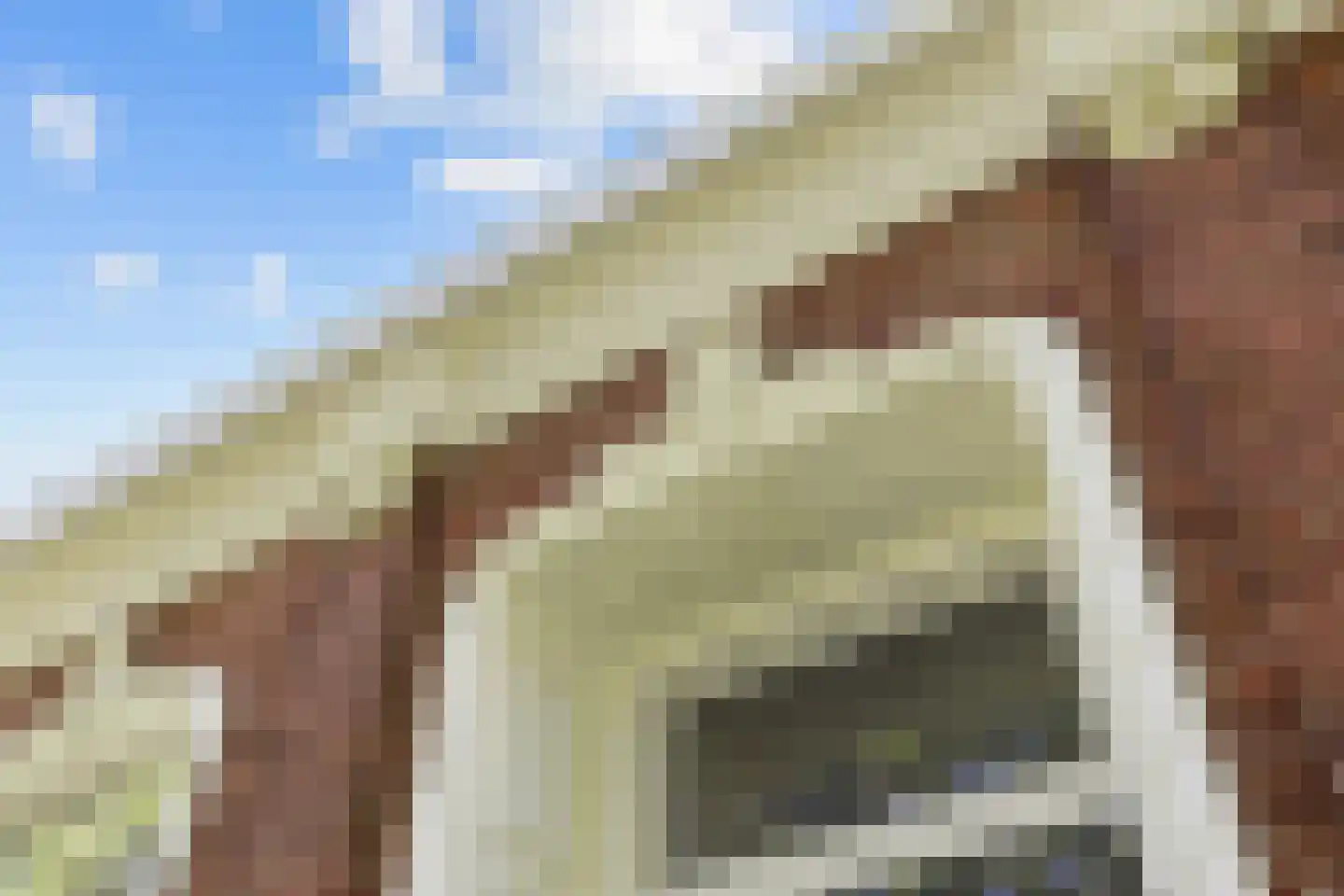 Thesingerweg 1 Bedum thumbnail 15