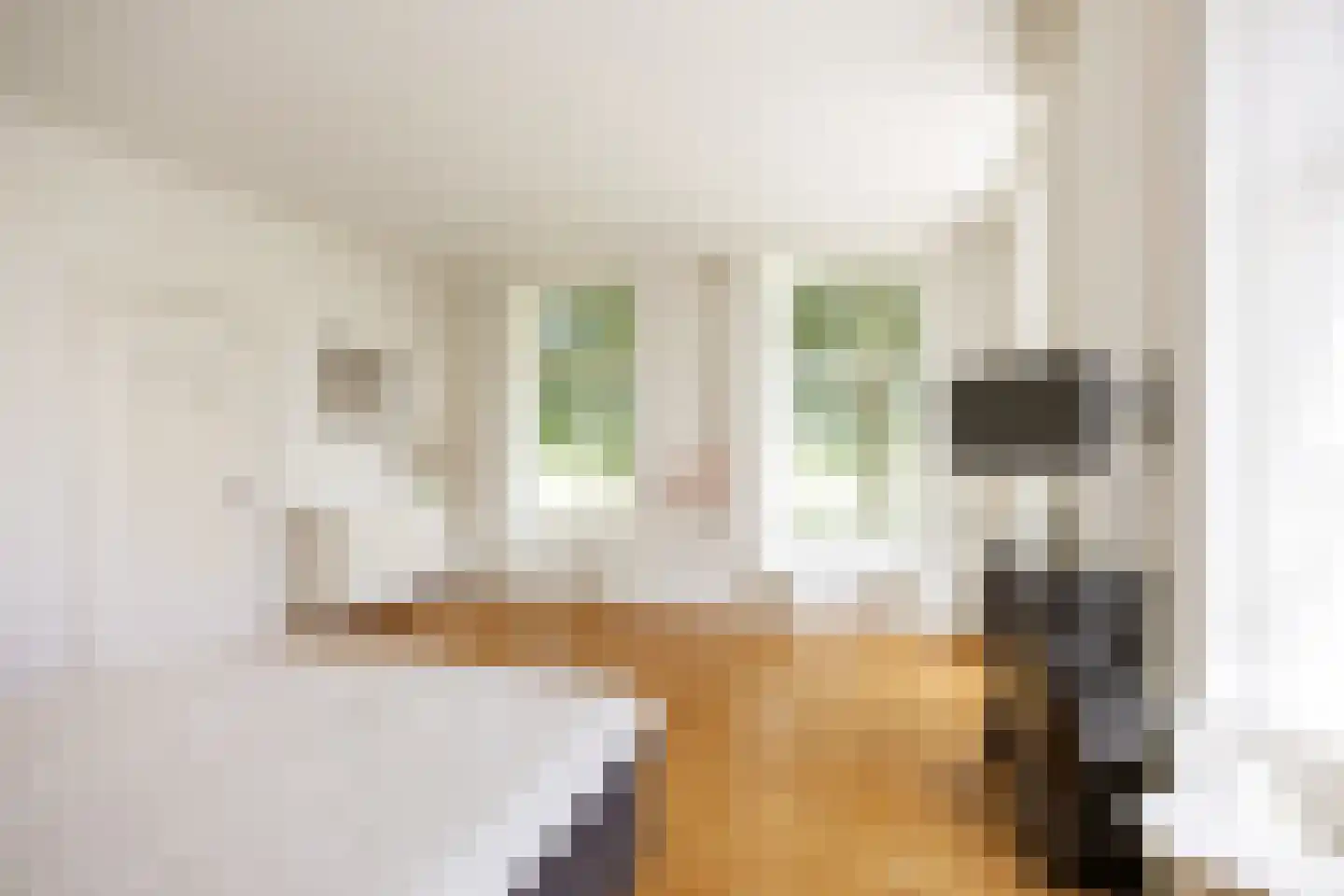 Thesingerweg 1 Bedum thumbnail 18
