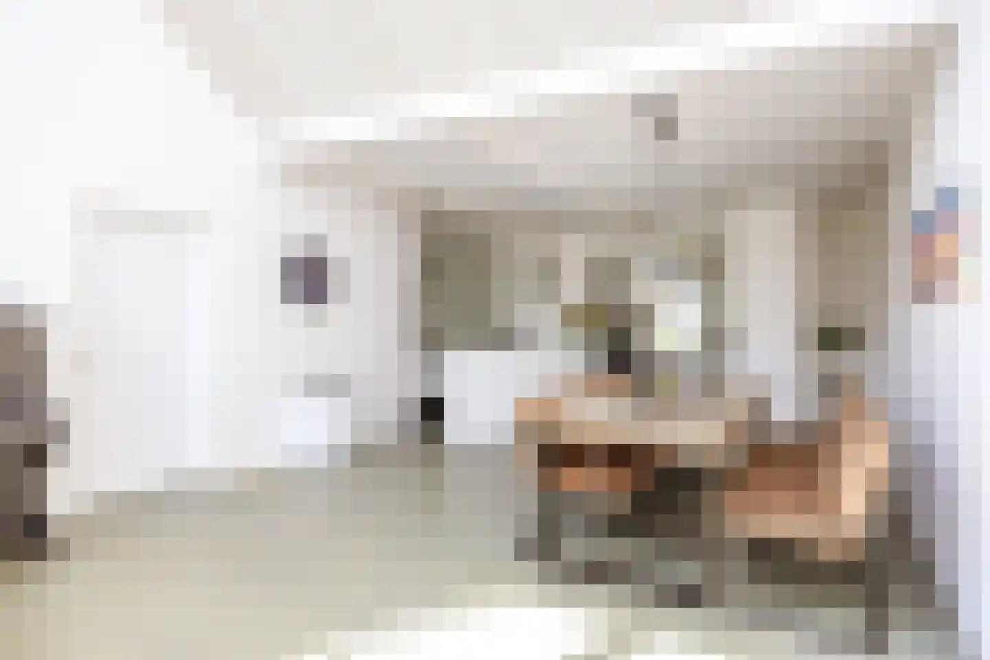Thesingerweg 1 Bedum thumbnail 25