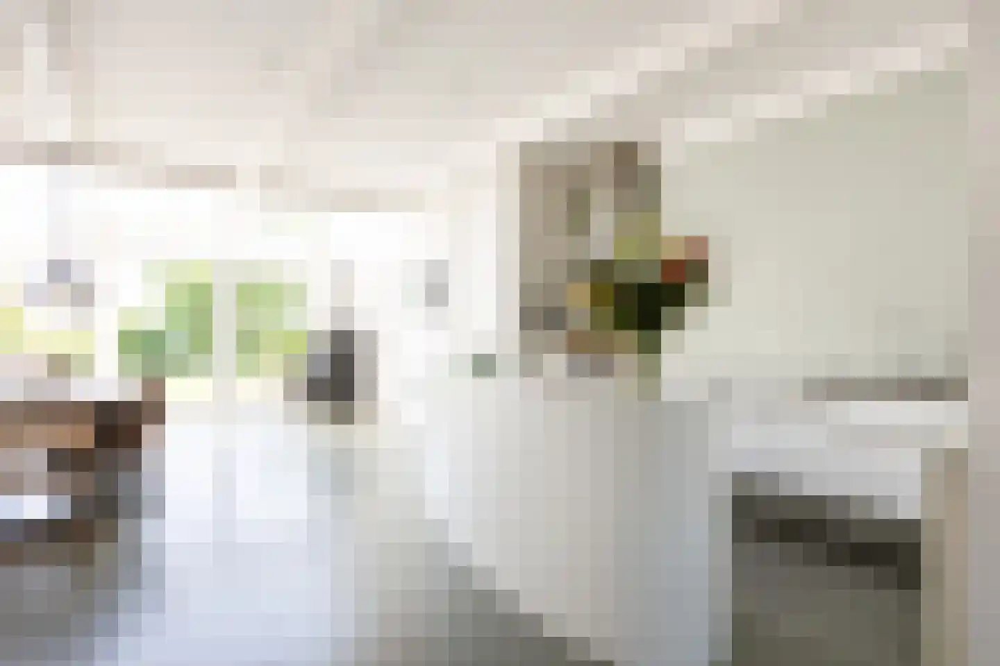 Thesingerweg 1 Bedum thumbnail 29