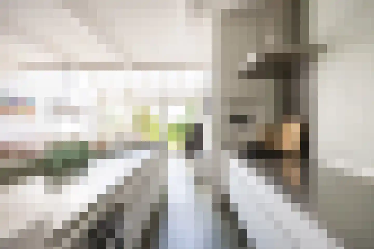 Thesingerweg 1 Bedum thumbnail 31
