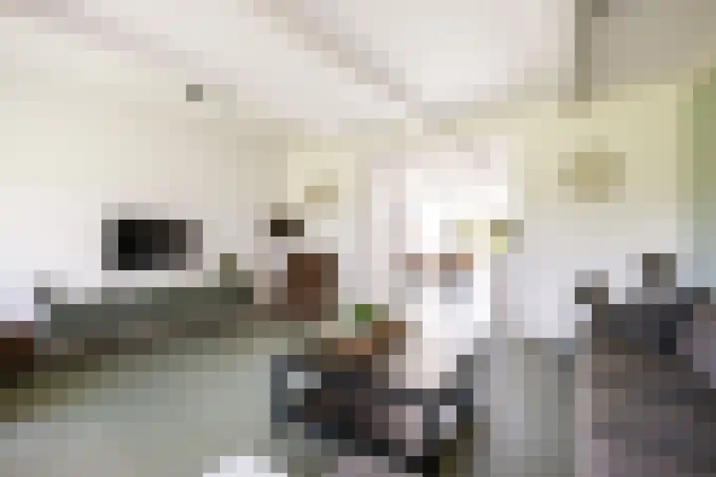 Thesingerweg 1 Bedum thumbnail 33