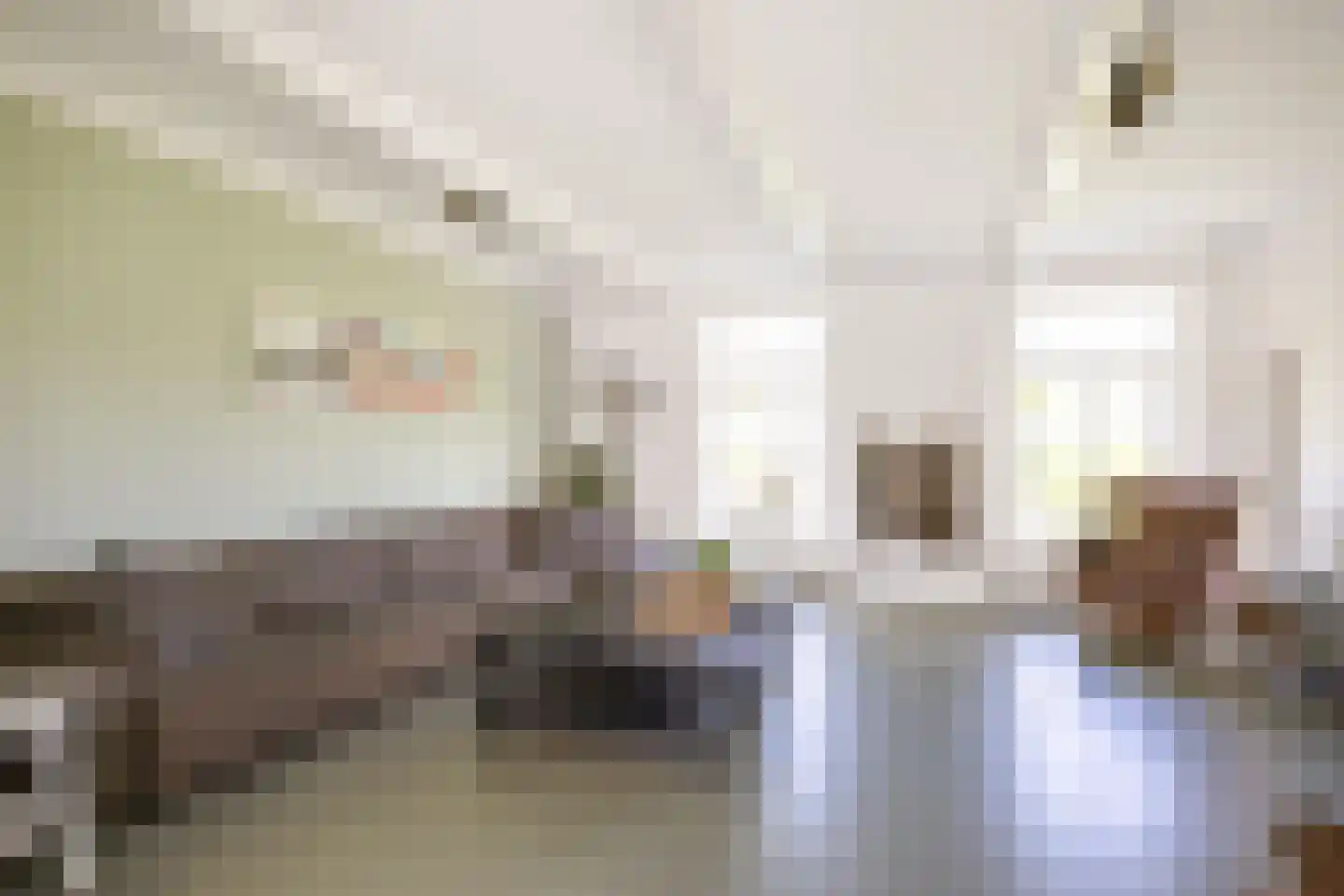 Thesingerweg 1 Bedum thumbnail 34