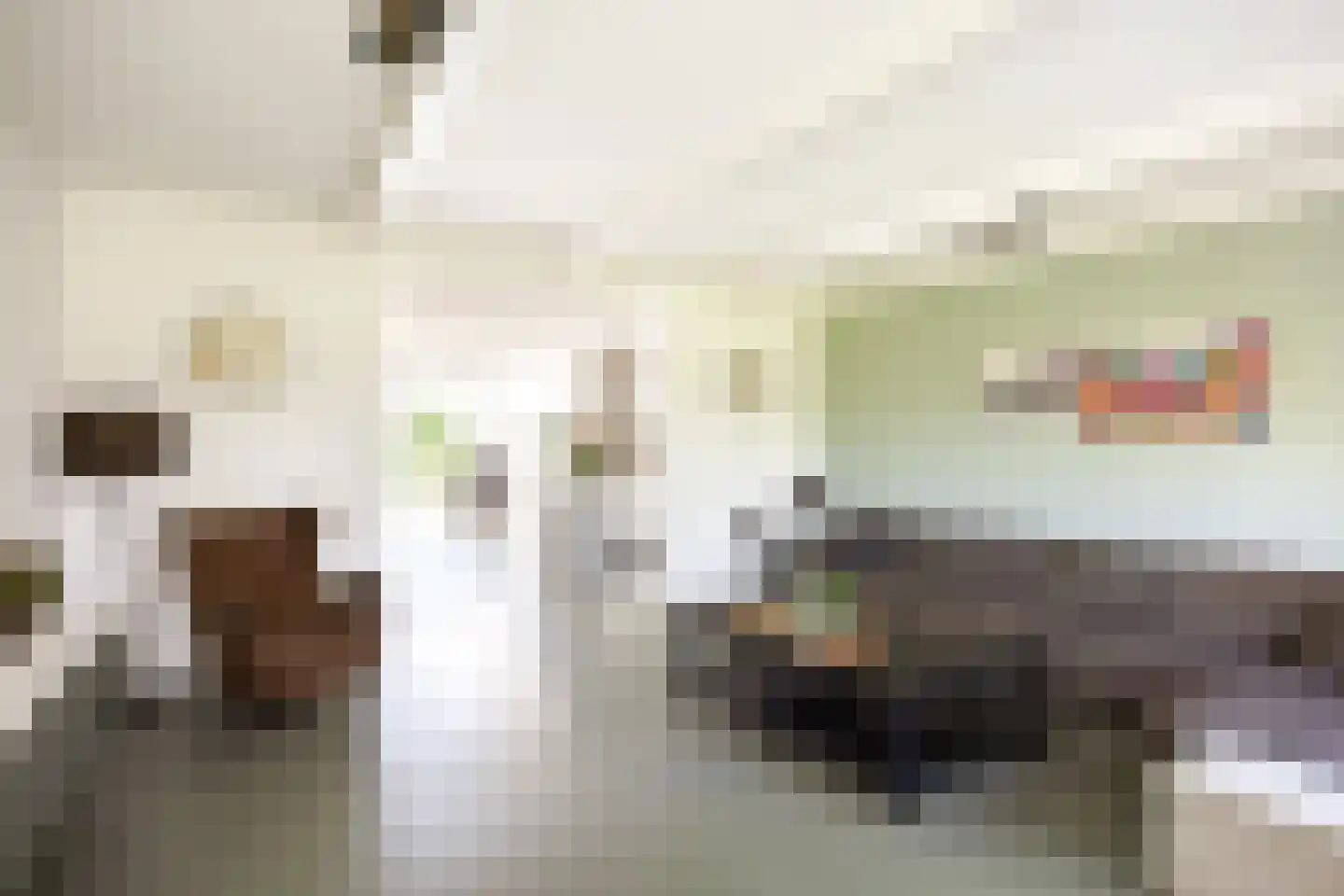 Thesingerweg 1 Bedum thumbnail 36