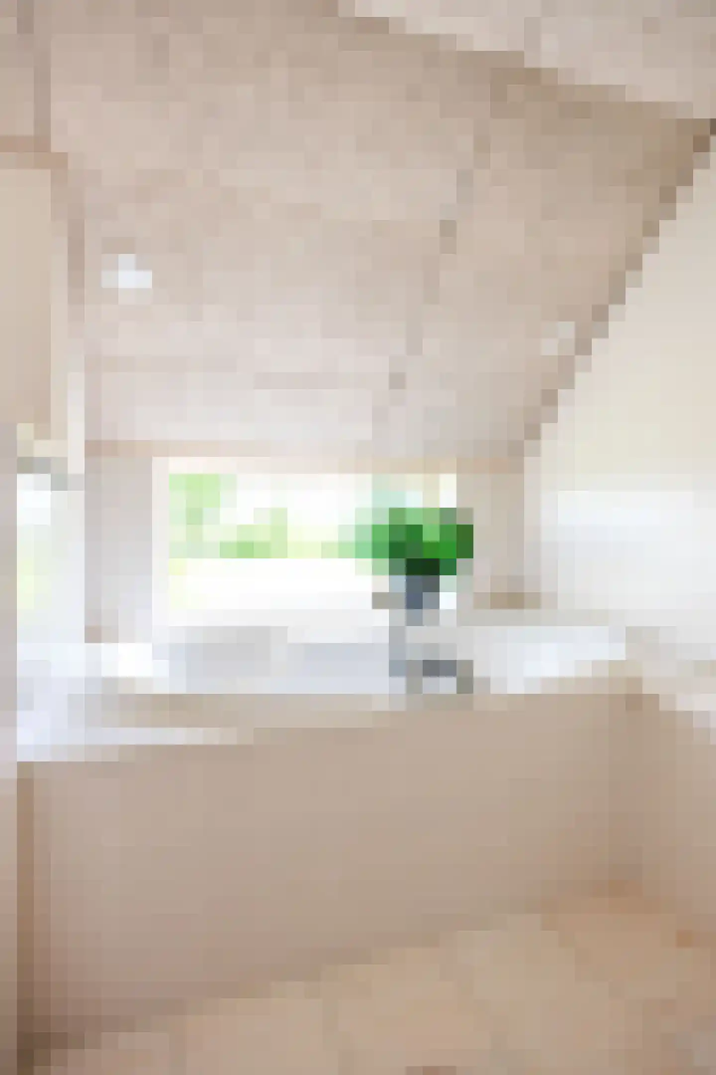 Thesingerweg 1 Bedum thumbnail 42