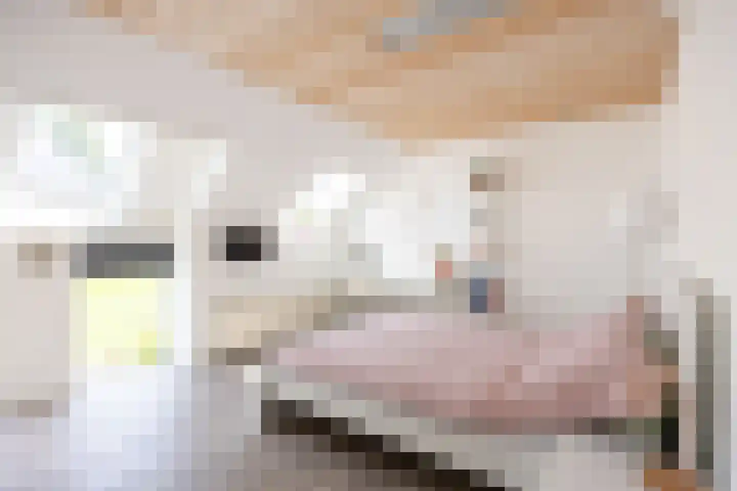 Thesingerweg 1 Bedum thumbnail 49