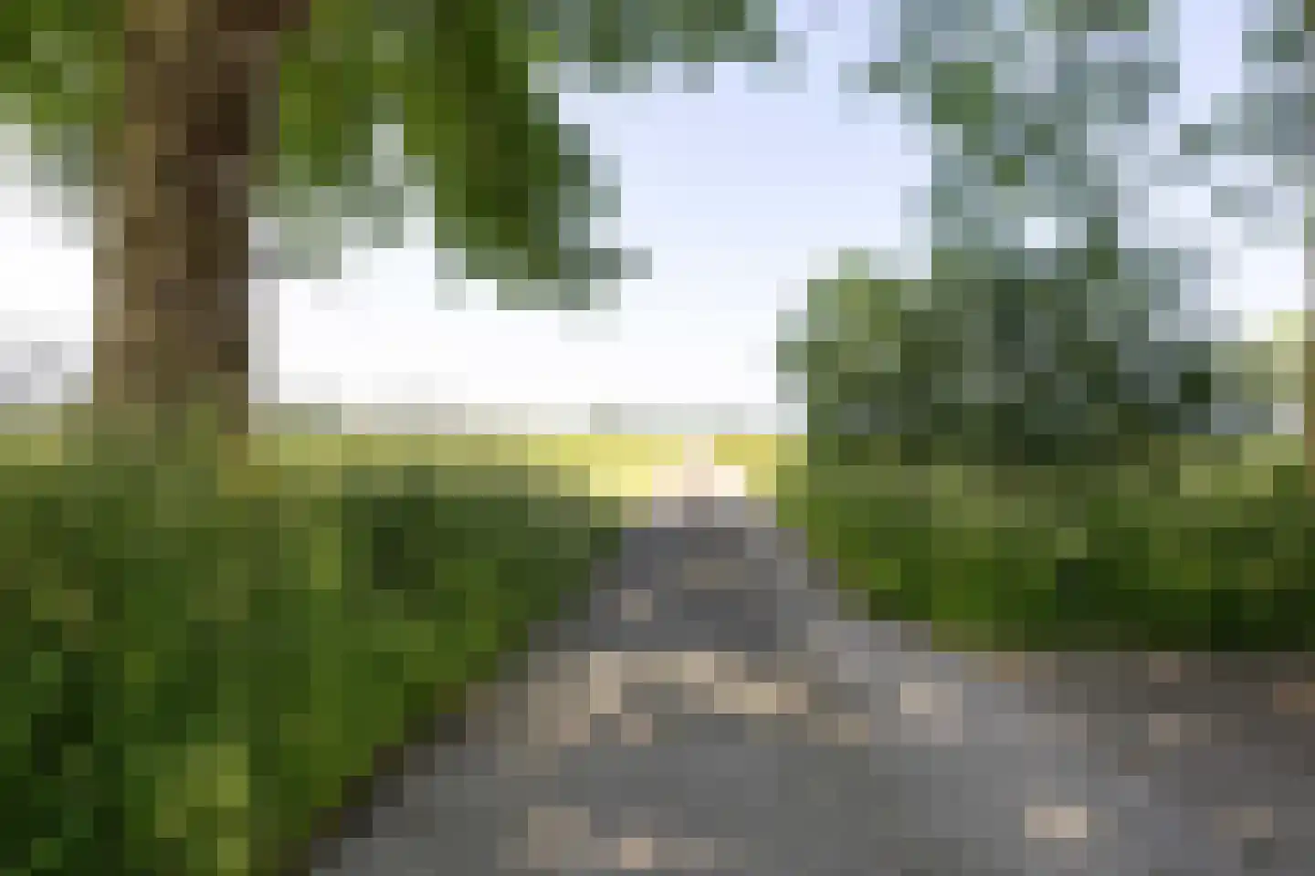 Thesingerweg 1 Bedum thumbnail 5