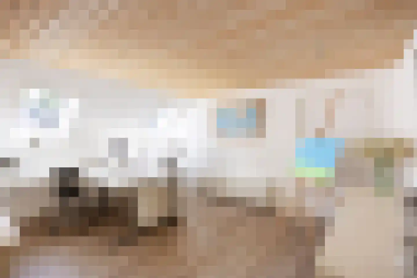 Thesingerweg 1 Bedum thumbnail 51
