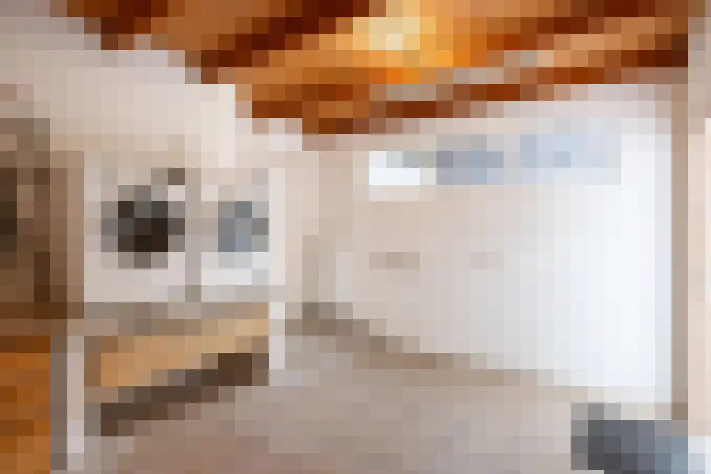 Thesingerweg 1 Bedum thumbnail 53