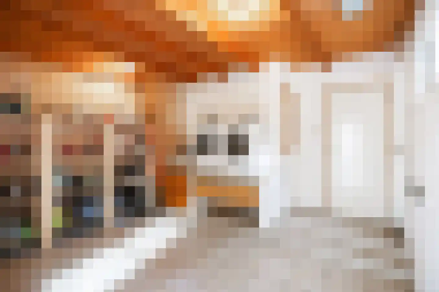 Thesingerweg 1 Bedum thumbnail 54