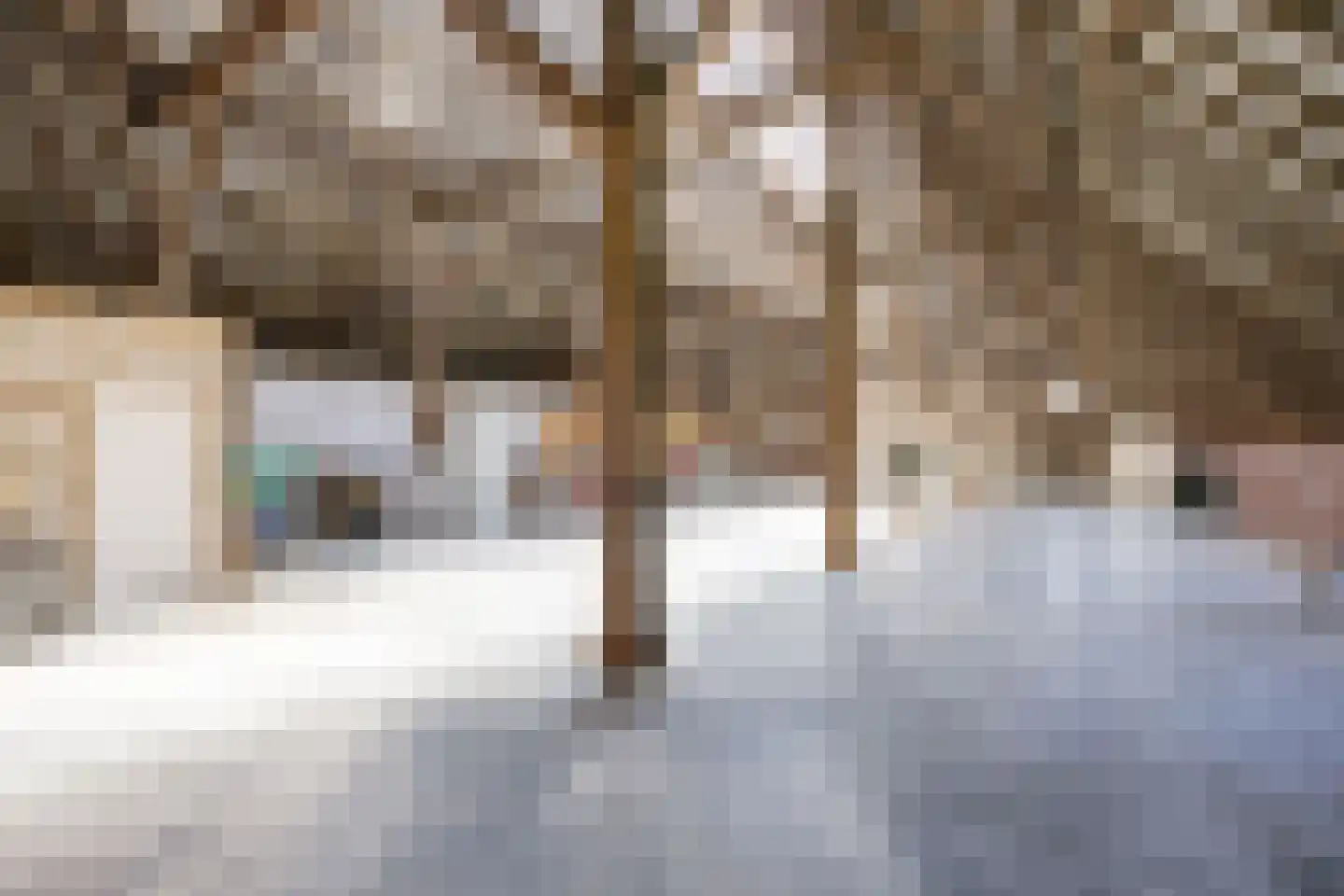 Thesingerweg 1 Bedum thumbnail 55