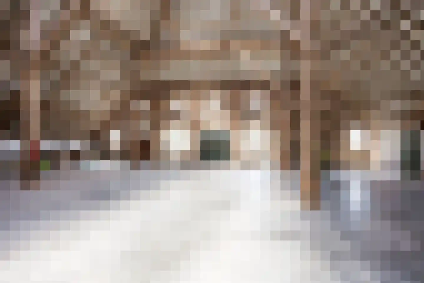 Thesingerweg 1 Bedum thumbnail 56