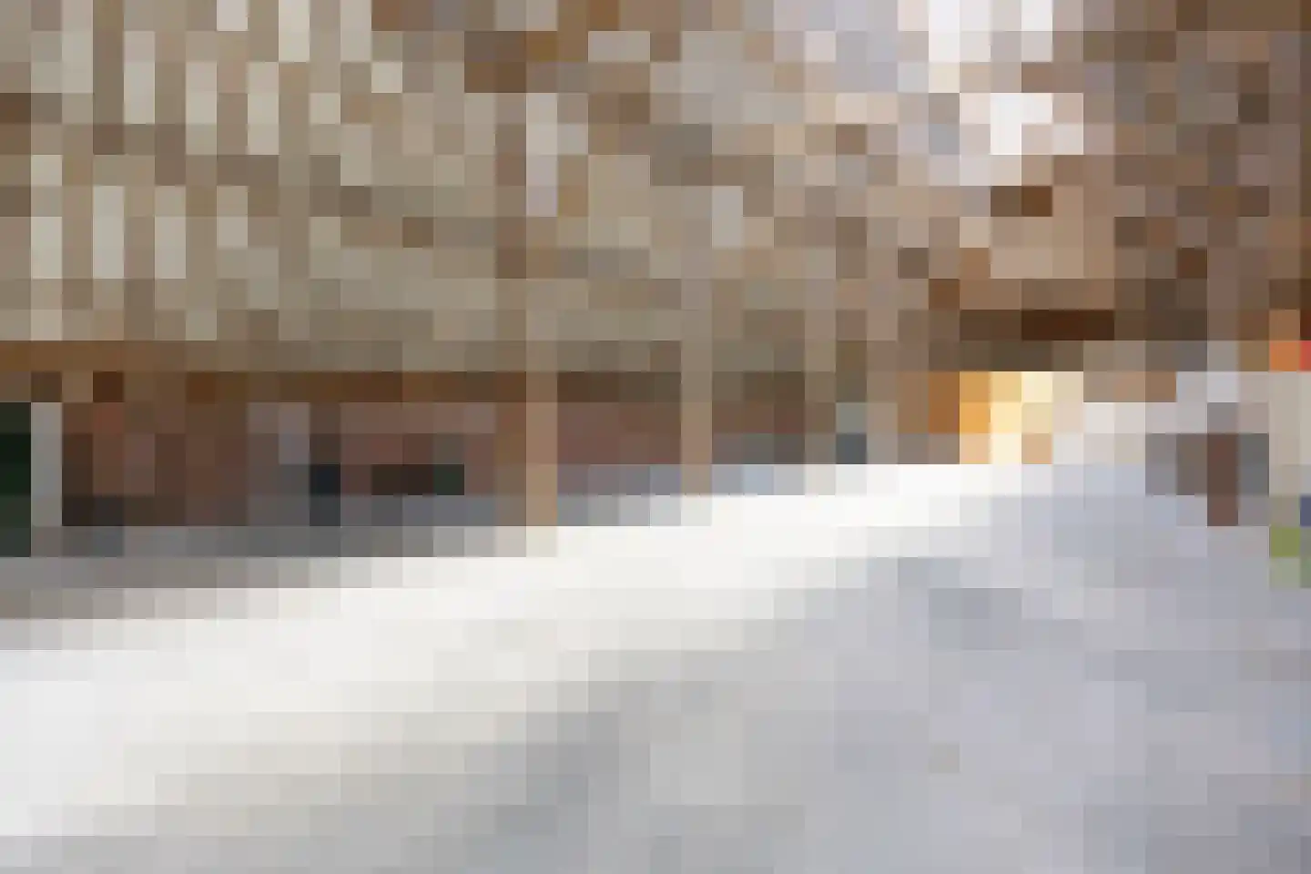Thesingerweg 1 Bedum thumbnail 58
