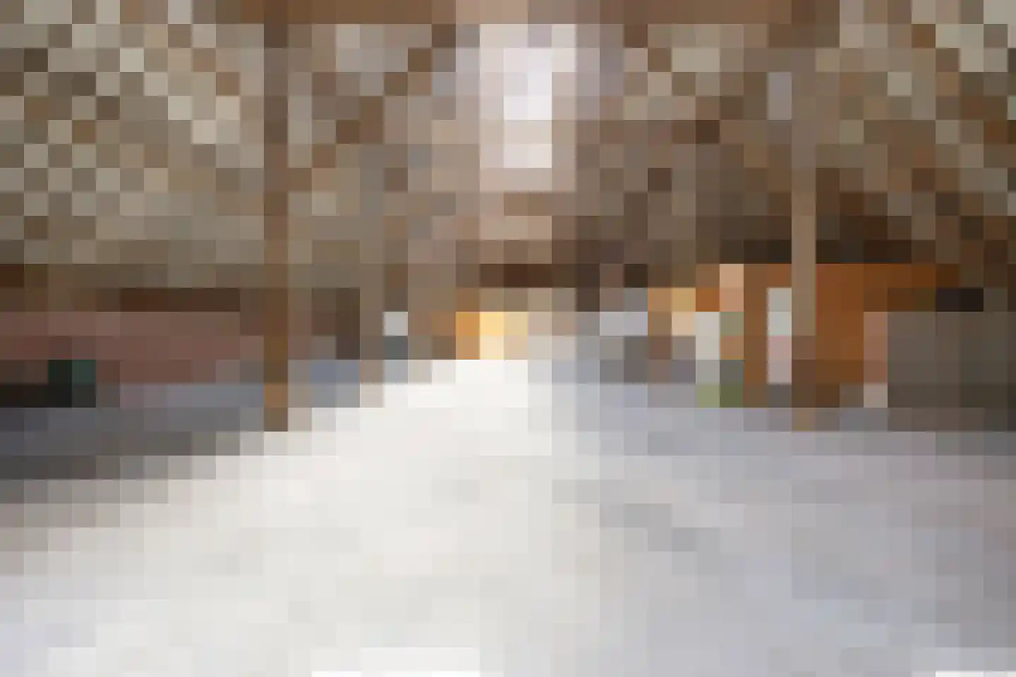 Thesingerweg 1 Bedum thumbnail 59