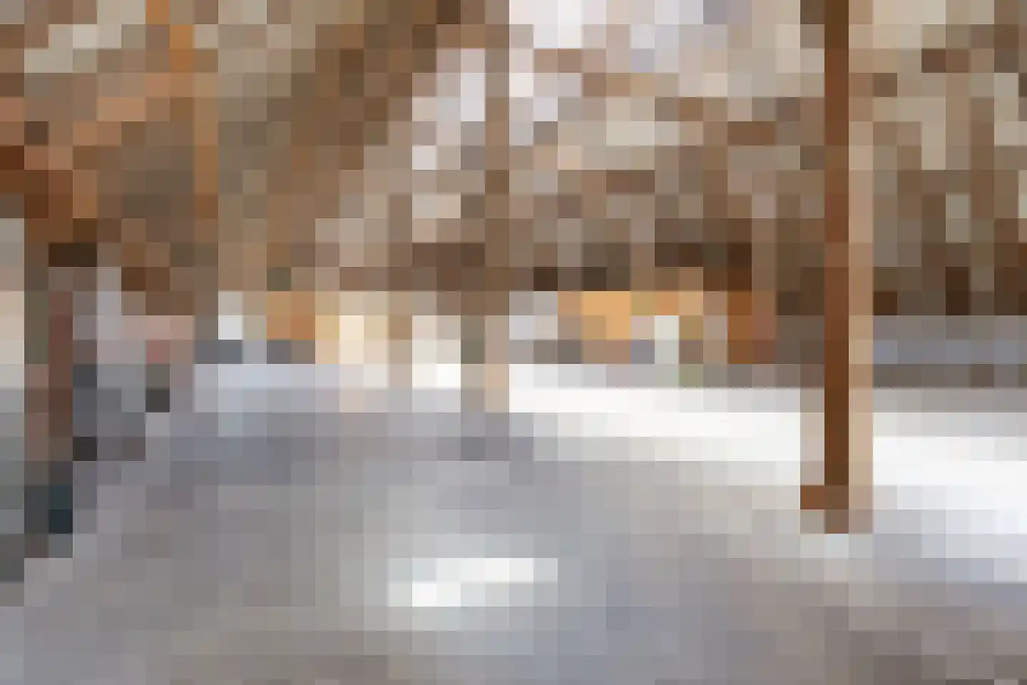 Thesingerweg 1 Bedum thumbnail 60