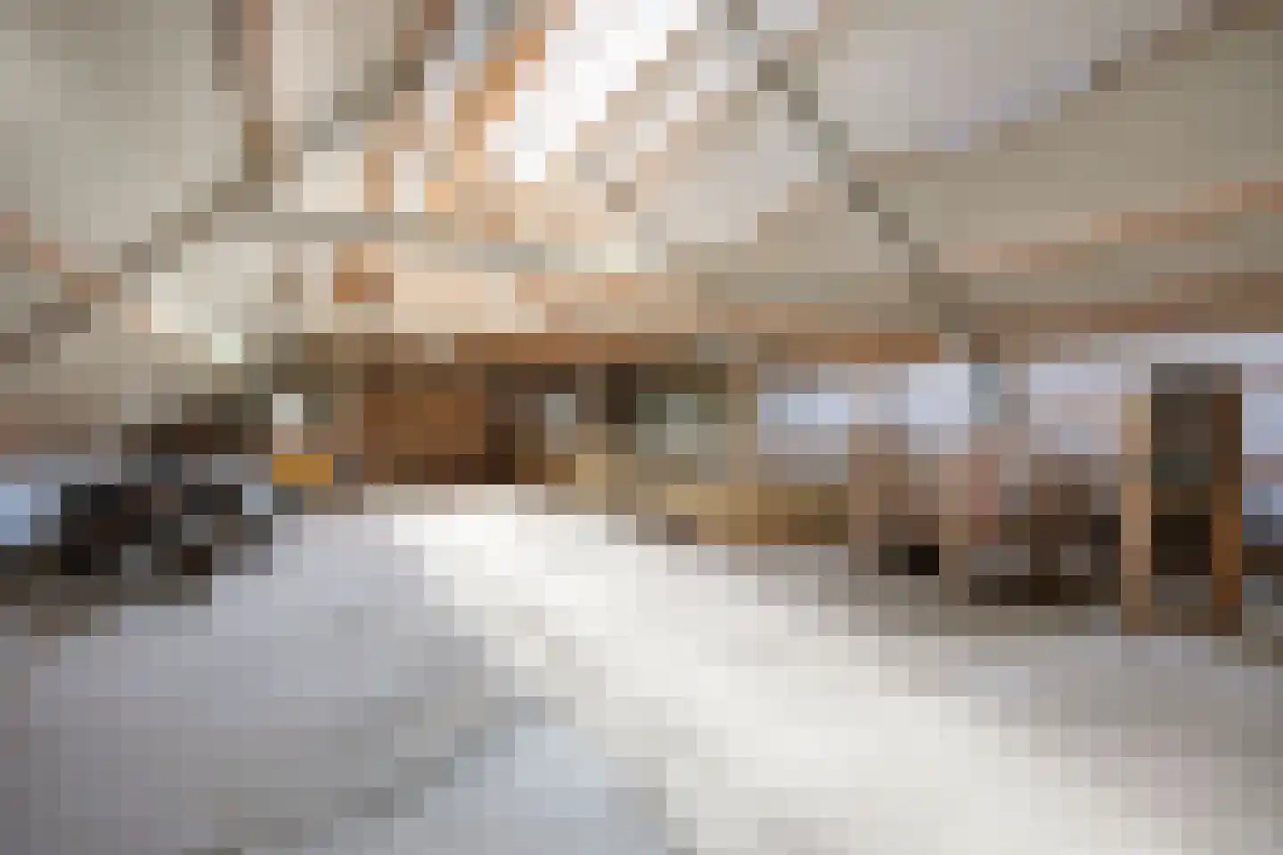 Thesingerweg 1 Bedum thumbnail 61