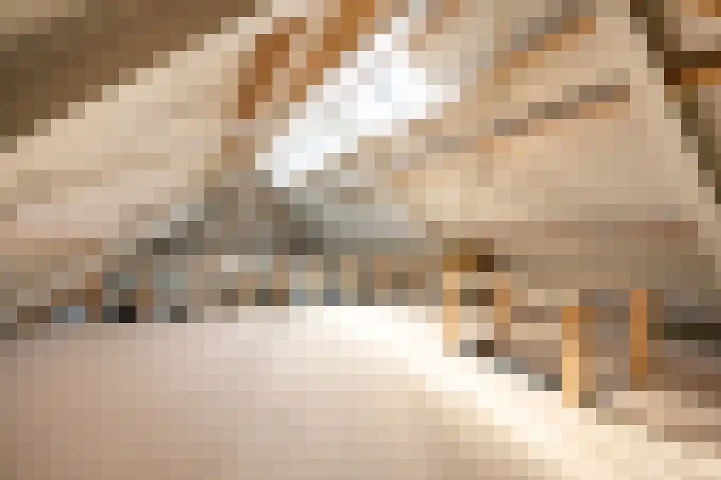 Thesingerweg 1 Bedum thumbnail 62