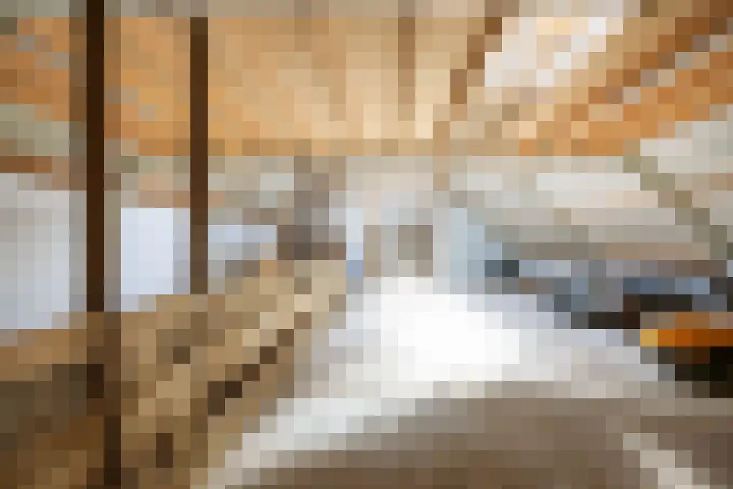 Thesingerweg 1 Bedum thumbnail 63