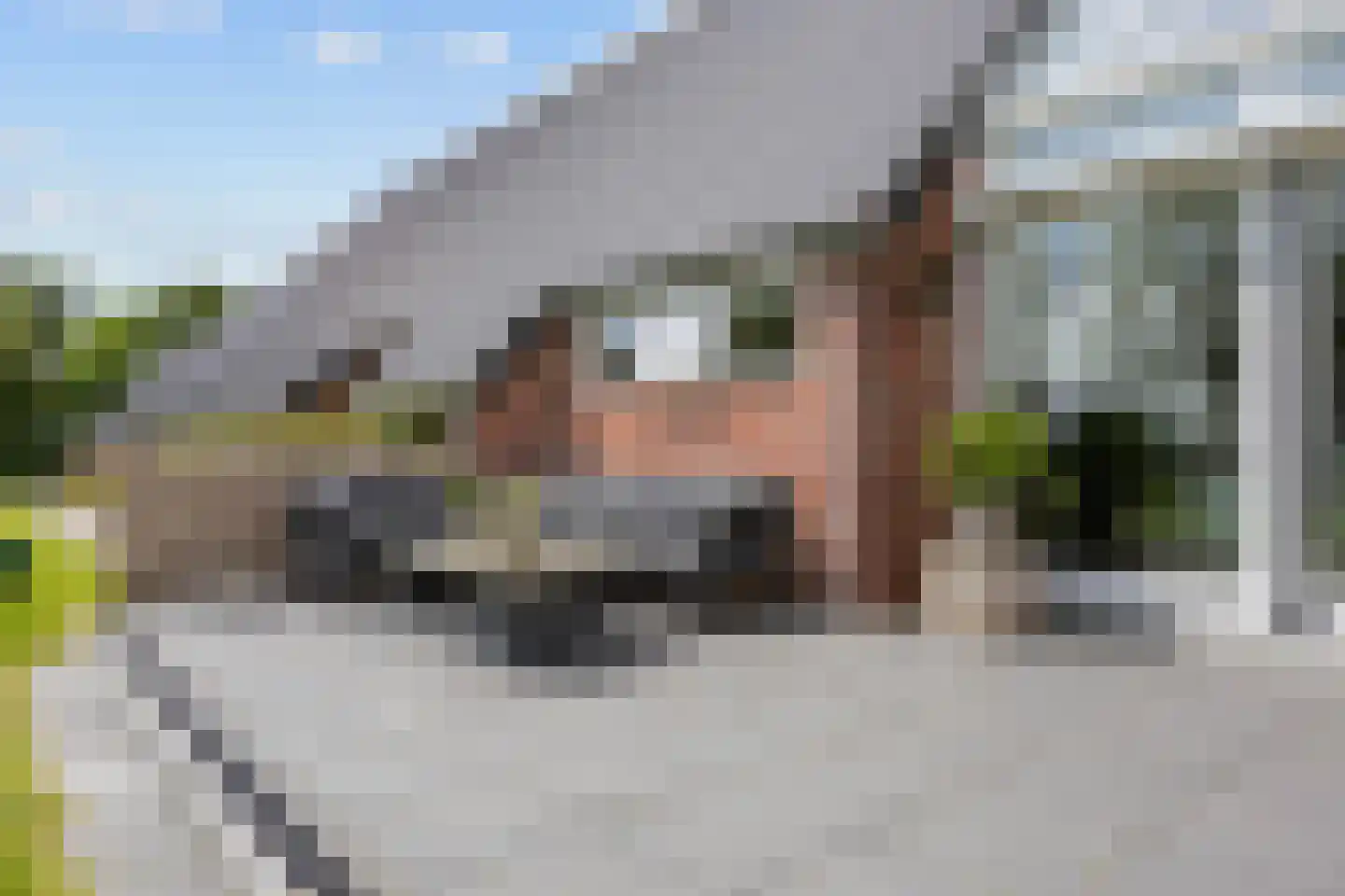 Thesingerweg 1 Bedum thumbnail 65