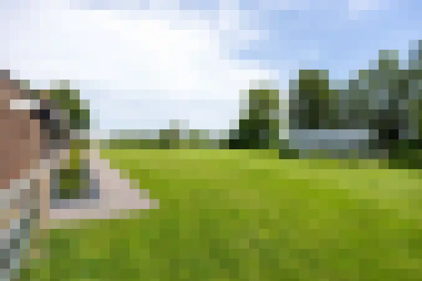 Thesingerweg 1 Bedum thumbnail 78