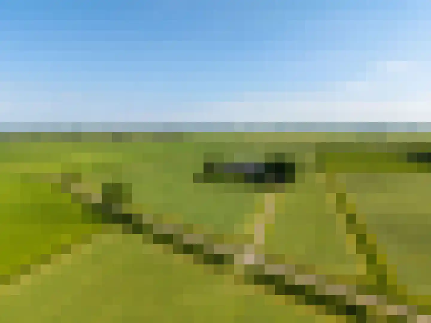 Thesingerweg 1 Bedum thumbnail 80