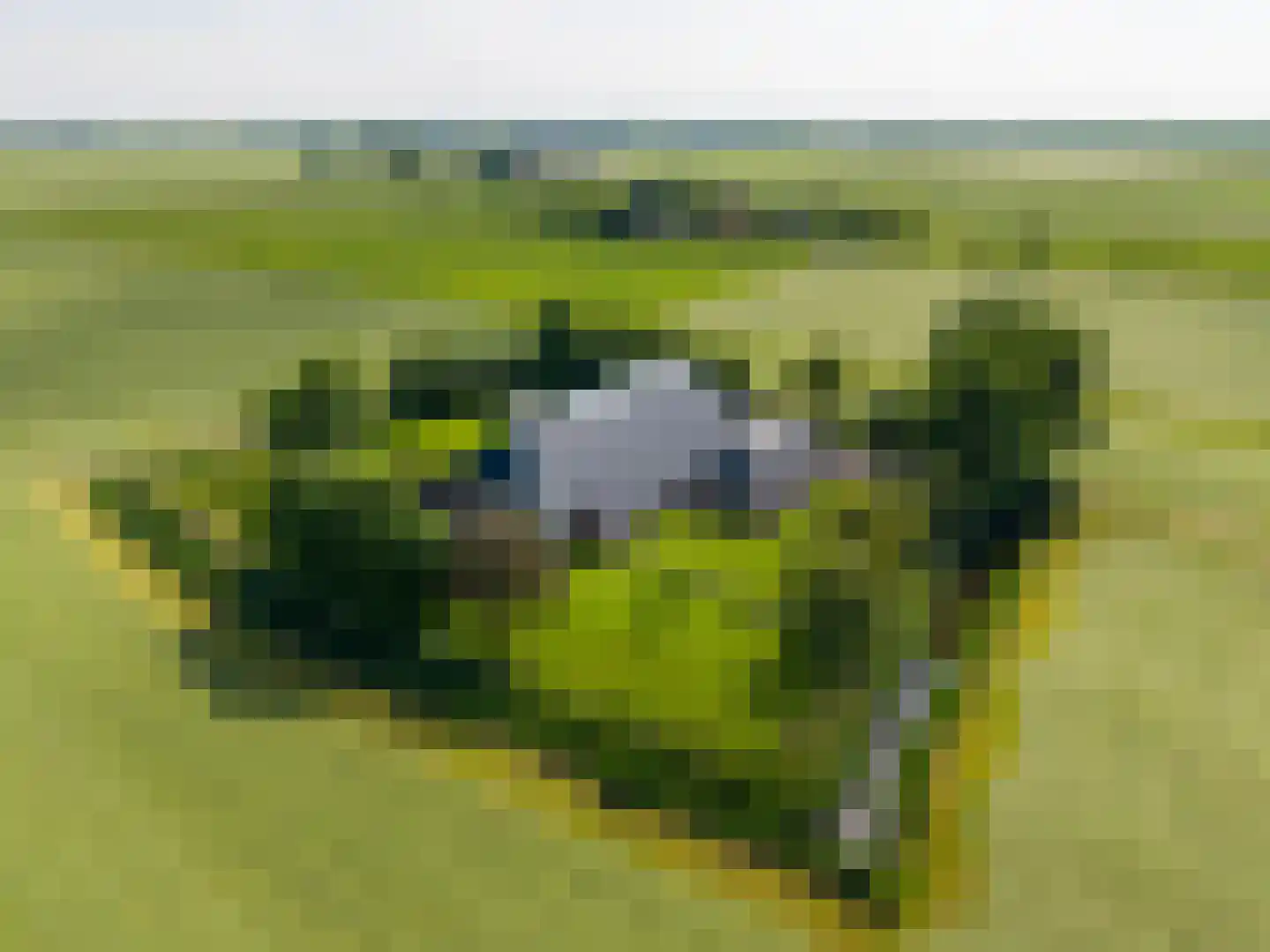 Thesingerweg 1 Bedum thumbnail 82