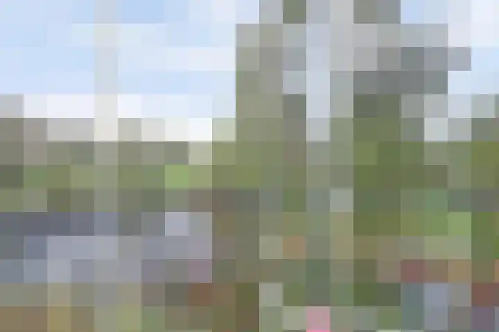 Thetfordstraat 146 Spijkenisse thumbnail 11