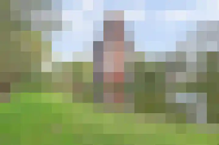 Thetfordstraat 146 Spijkenisse thumbnail 25