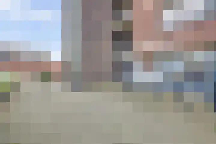 Thetfordstraat 146 Spijkenisse thumbnail 30