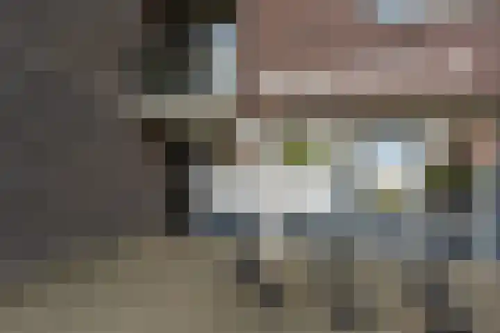 Thetfordstraat 172 Spijkenisse thumbnail 9