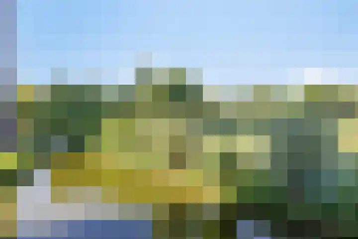 Thetfordstraat 84 Spijkenisse thumbnail 20