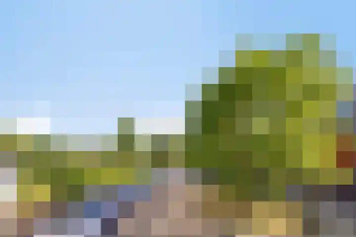 Thetfordstraat 84 Spijkenisse thumbnail 34