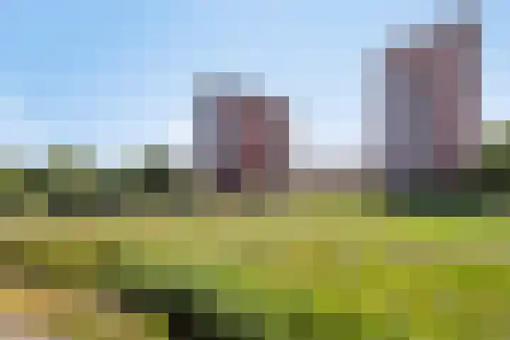 Thetfordstraat 84 Spijkenisse thumbnail 37