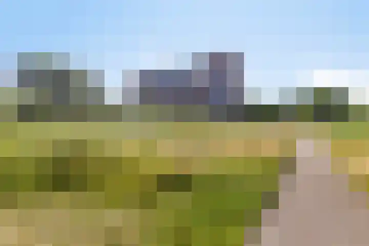 Thetfordstraat 84 Spijkenisse thumbnail 39