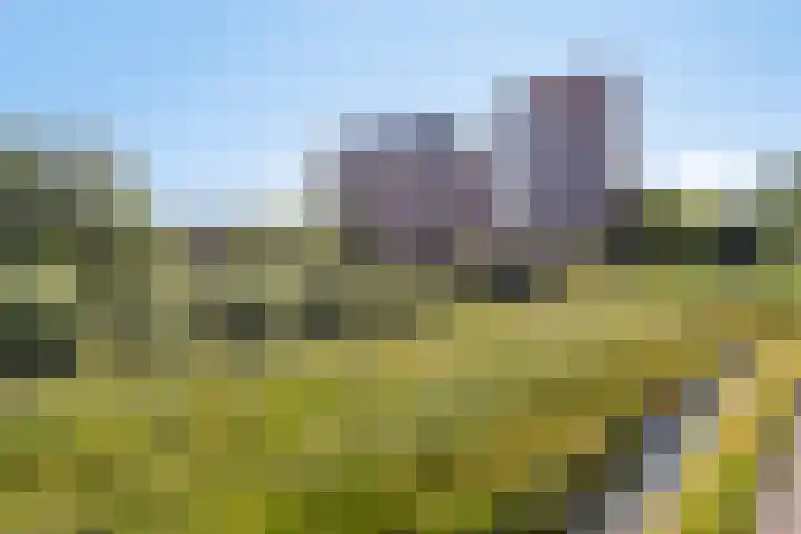 Thetfordstraat 84 Spijkenisse thumbnail 40