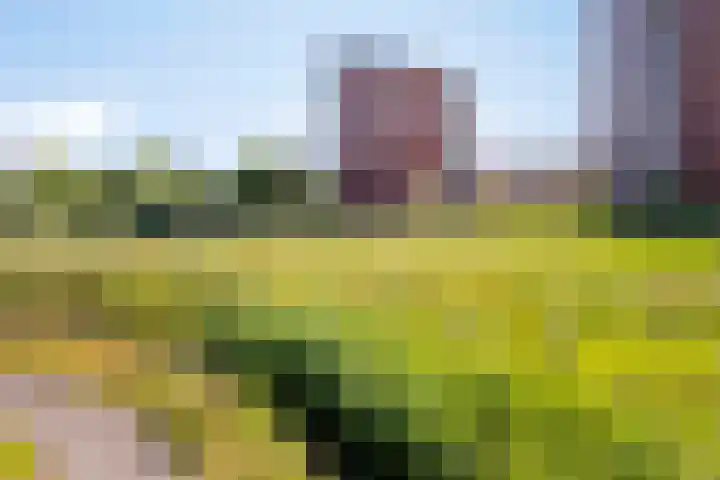 Thetfordstraat 84 Spijkenisse thumbnail 41