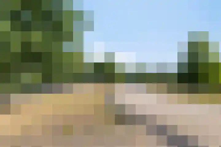 Thetfordstraat 84 Spijkenisse thumbnail 42